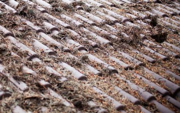 Smite Hill roof cleaning companies